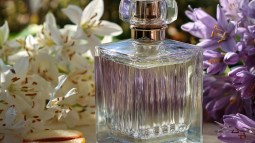 perfume-jazmin-septiembre-floralfrances