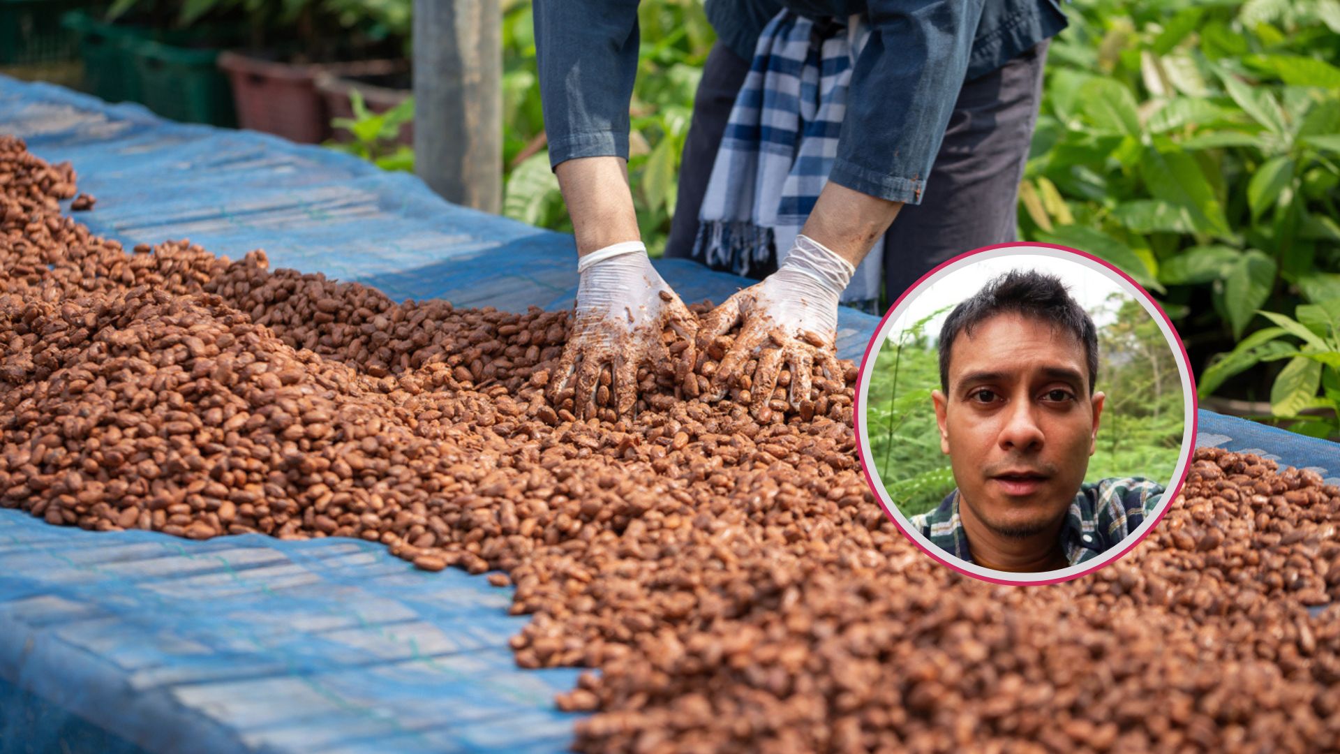 industria-chocolate-artesano