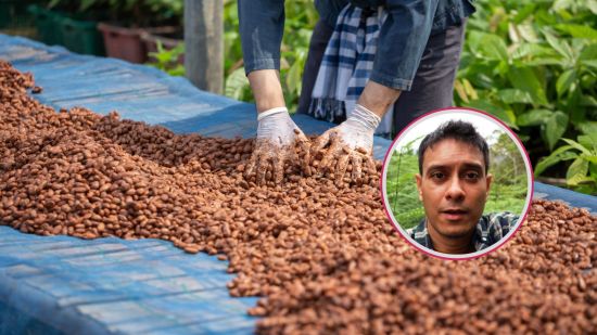 industria-chocolate-artesano