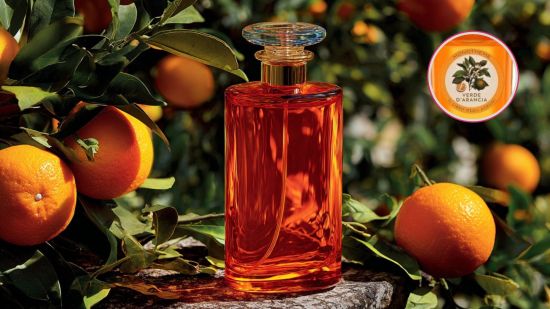 colonia-naranja-italiana-oferte-primor