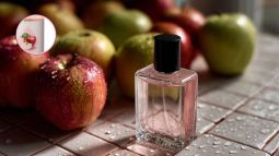 colonia-monogotas-manzana-supermercado