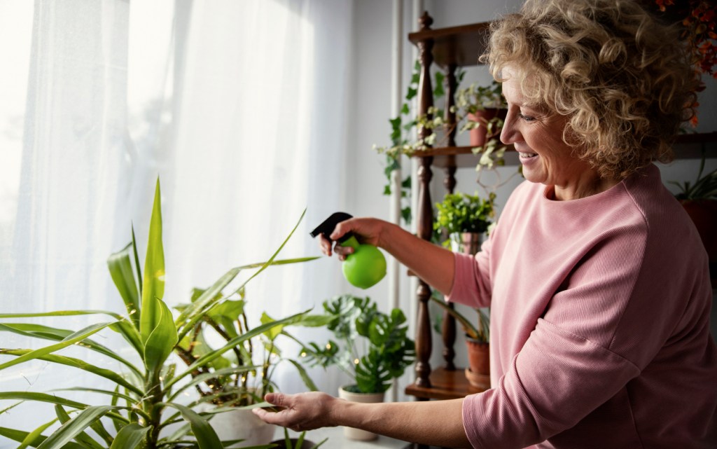 como-afilar-cuchilla-batidora-casa