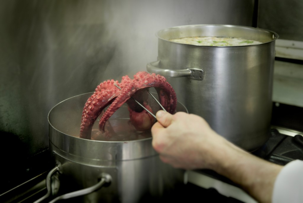 receta-pulpo-hermanos-torres-estrellas-michelin