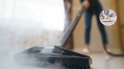 mopa-de-vapor-lidl-economica