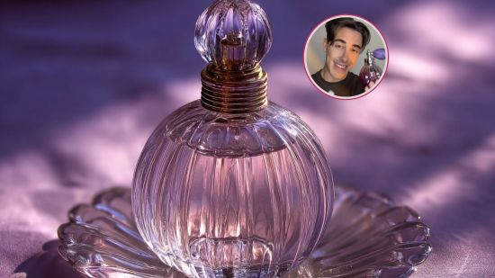 perfume-cebolla-nuevo-babaria-notas-limpias