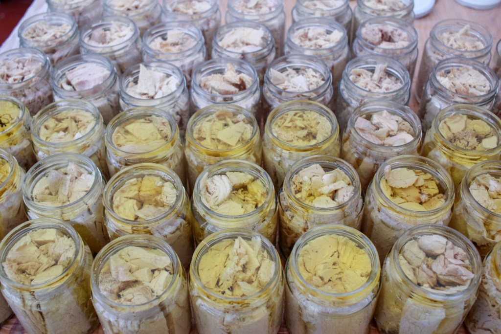 bocadillo-vasco-bonito-del-norte