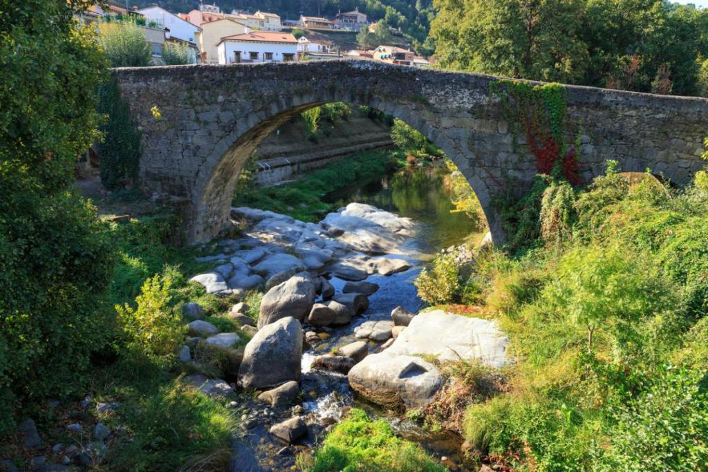 blanca-portillo-palto-favorito-chuleton-avila
