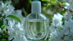 colonia-espanola-legado-olfativo-nenuco