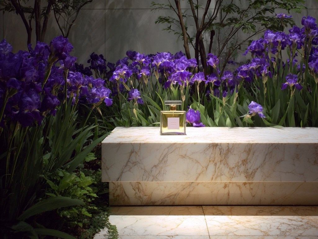 iris-ingrediente-estrella-perfumes-navidad