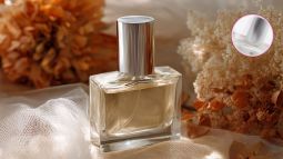 perfume-olor-limpio-fresco-elegante