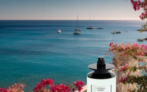 El perfume con olor a limpio que agotan las mujeres sofisticadas porque se sienten como estar en un jardín Mediterráneo