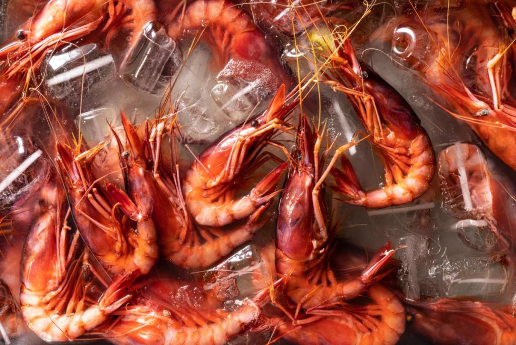 gambas-congeladas-sabor-potencial