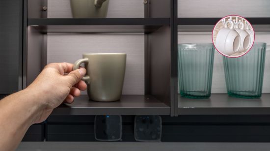 organizacion-soporte-tazas-economica-segura