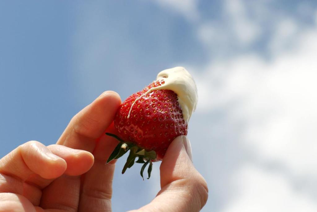 perfume-fresa-tendencia-2026-barato-sephora